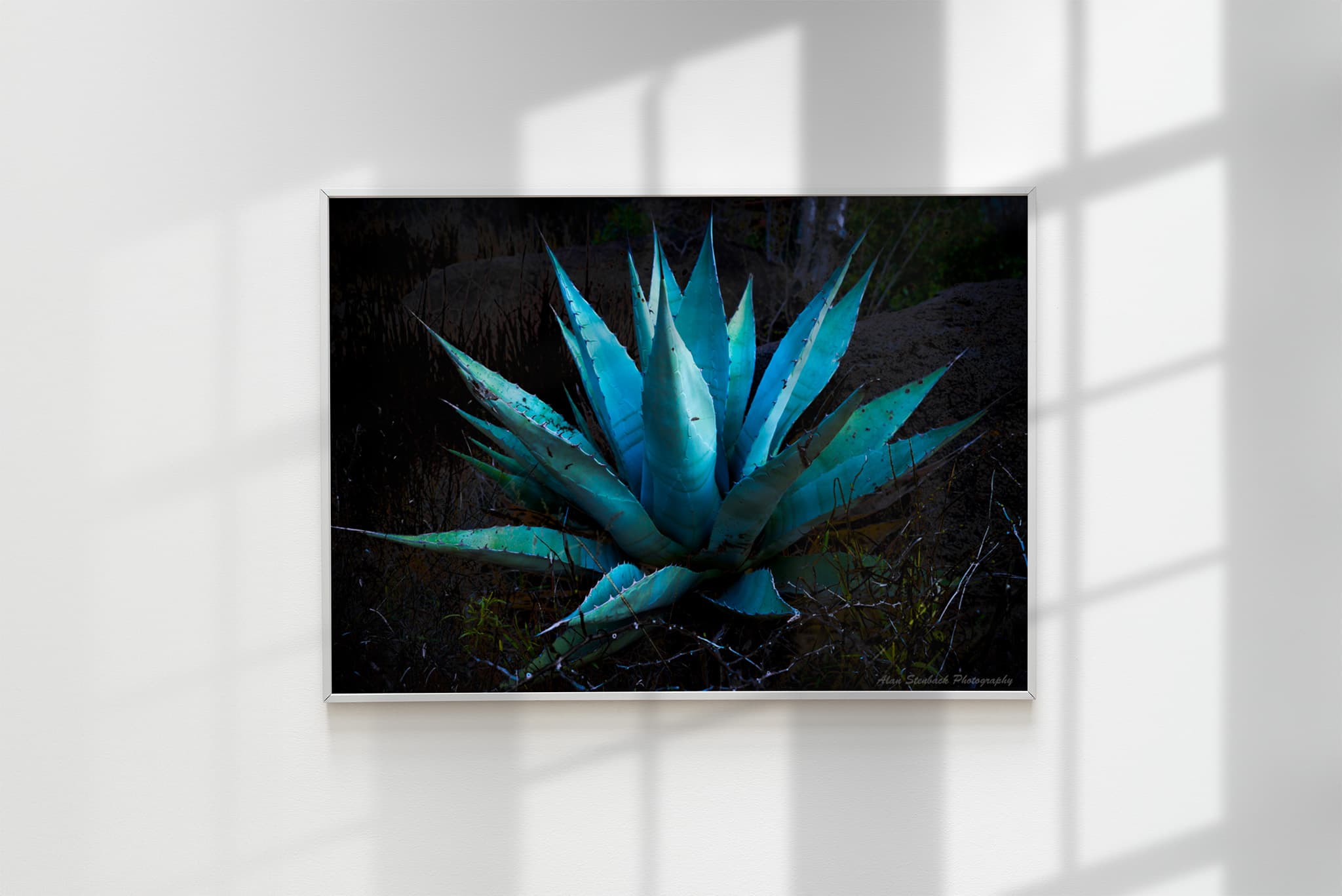 Elevate Your Space with Stunning Modern Wall Art Creations