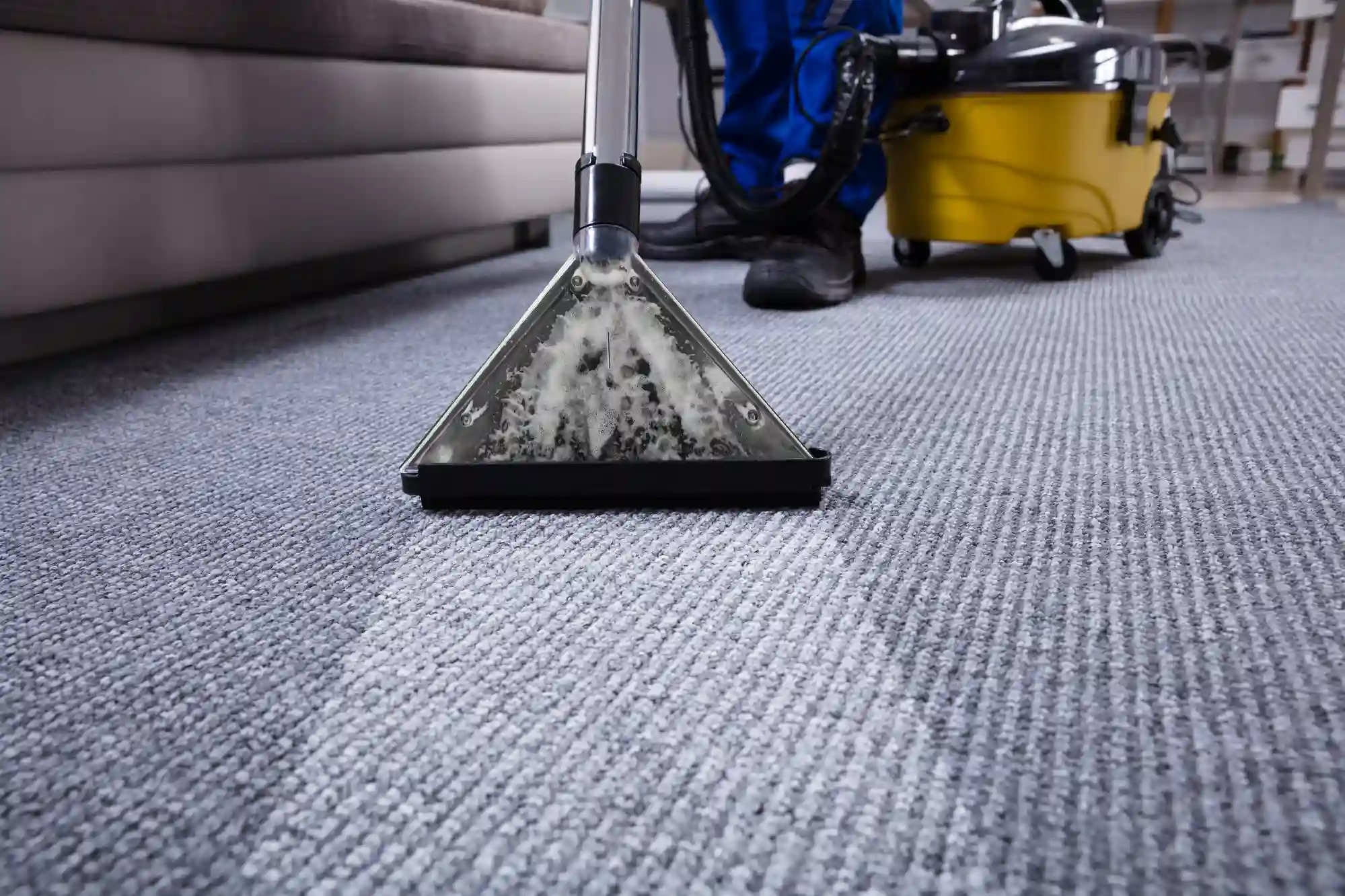 Expert Pet Odor Carpet Cleaning – Fresh Carpets, Happy Pets