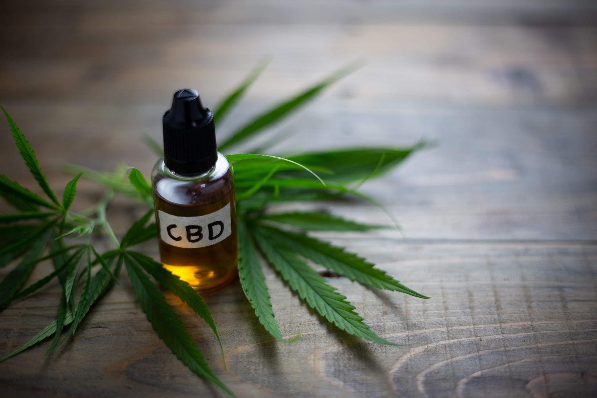 Miami Rave Store: Craft CBD & THC Creations