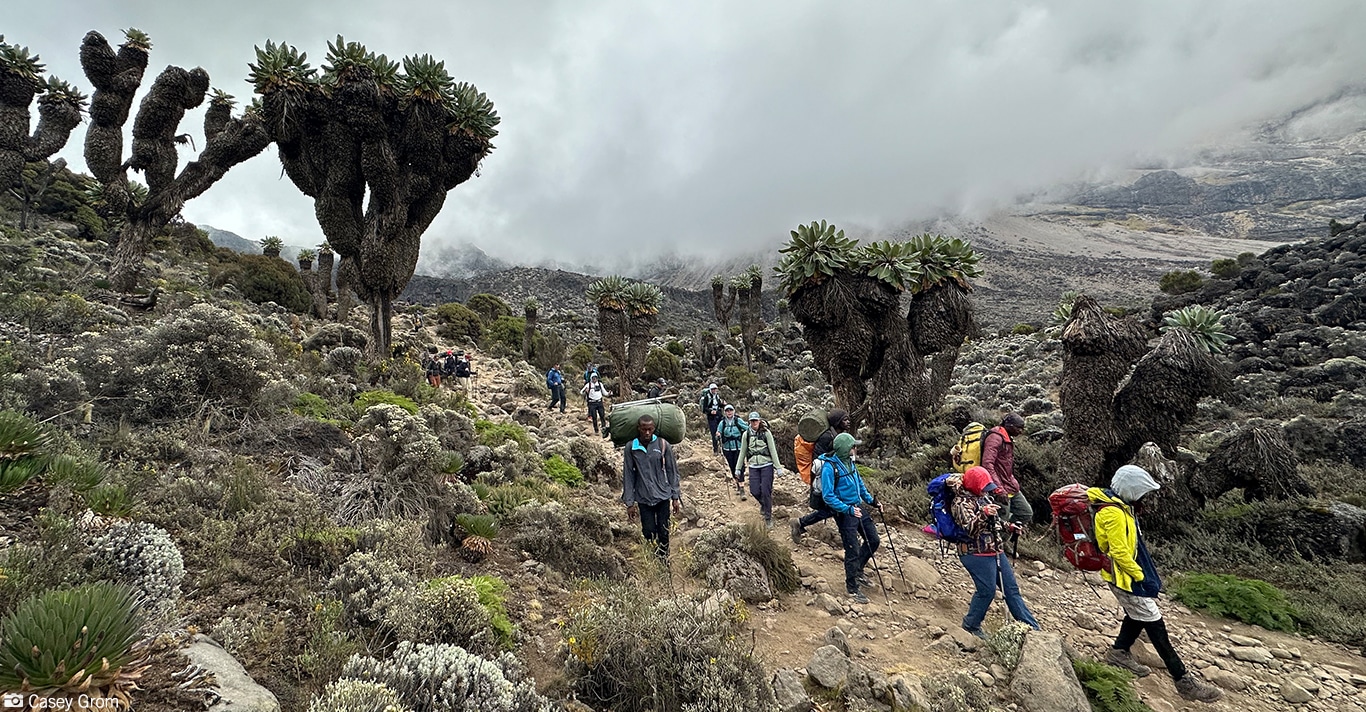 Climb Kilimanjaro with Ethical, Responsible Local Operators