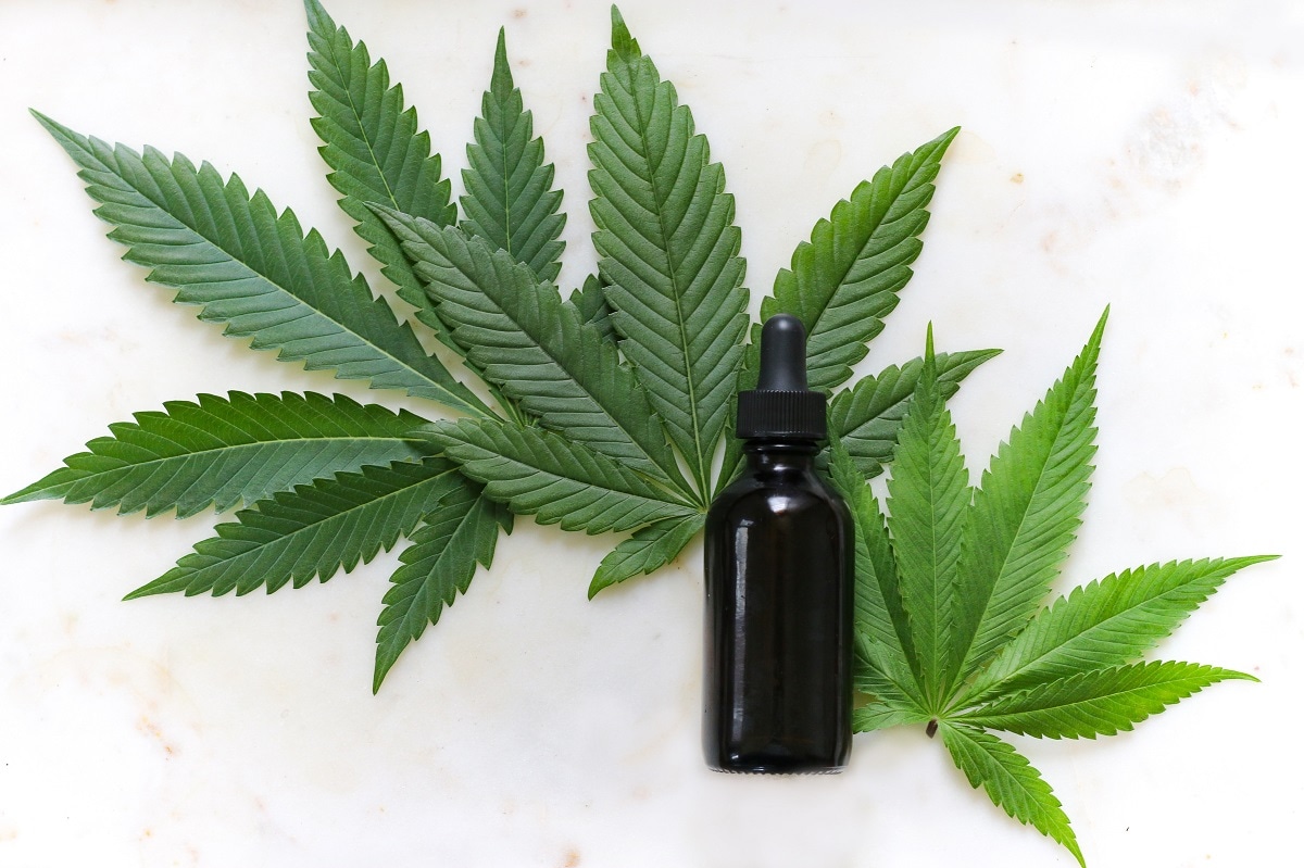 CBD Miami – Savor High-Quality CBD Cakes and Edibles from Miami Rave