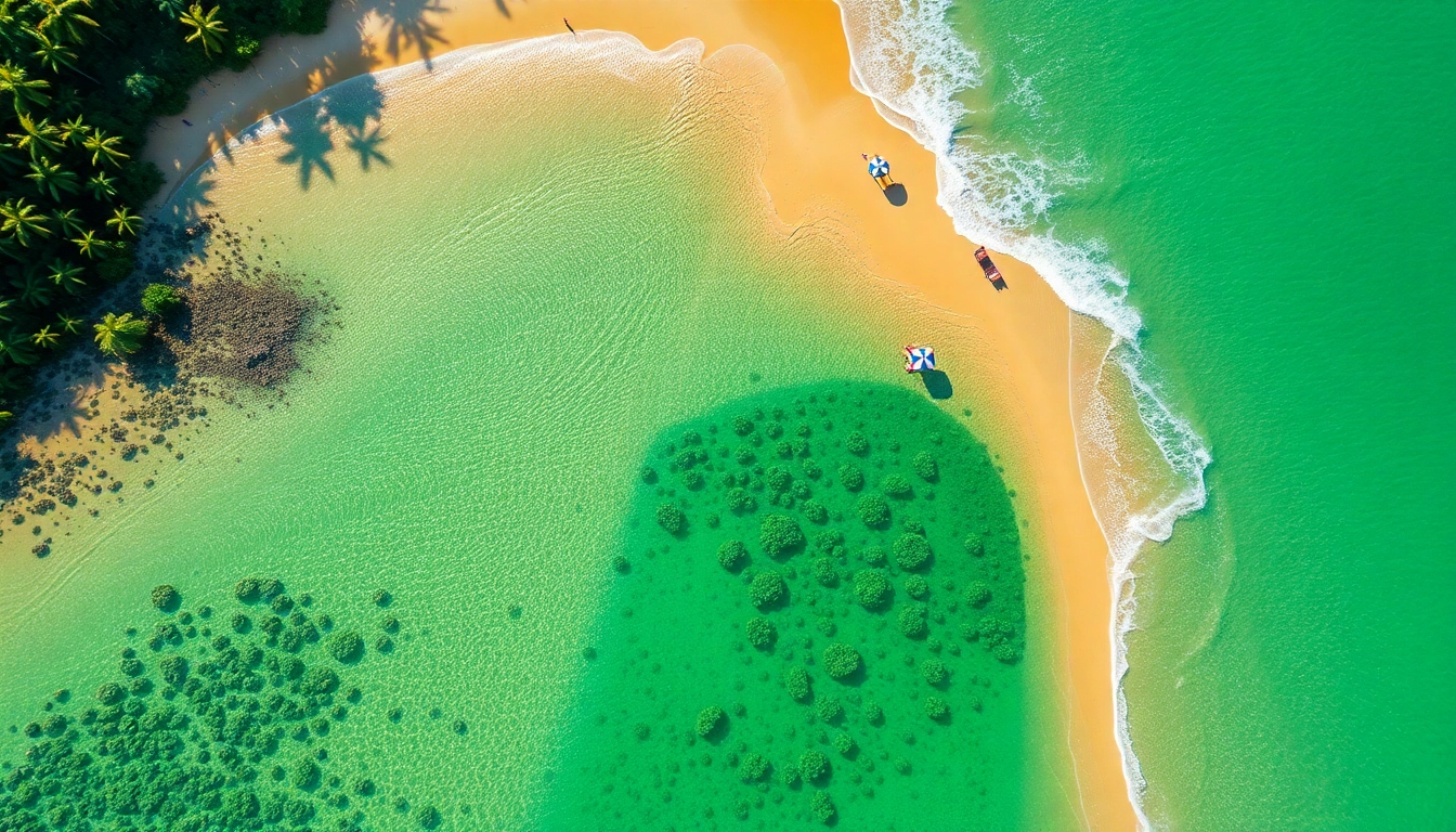 Experimente a beleza natural das praias intocadas de Paripueira e suas águas cristalinas.