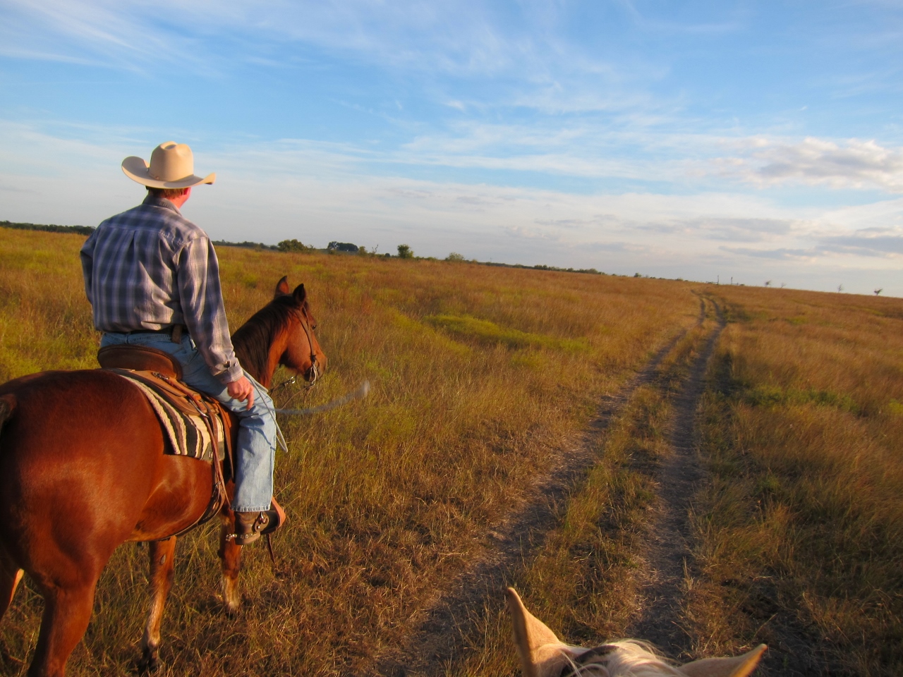 Find Your Perfect Fit: Steel Toed Boots Canada for Comfort and Safety