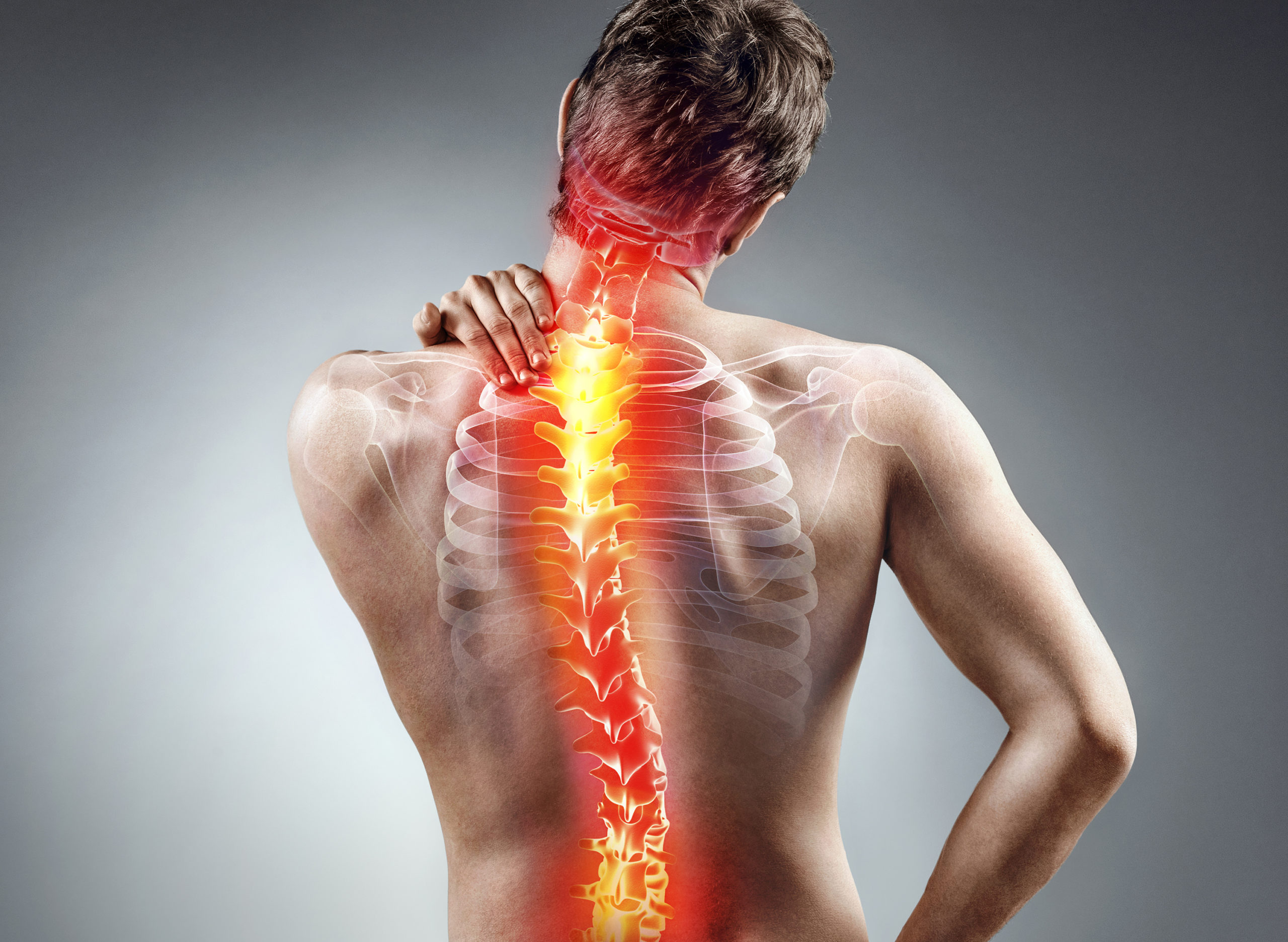 Back pain relief: Simple Daily Habits to Stop the Pain