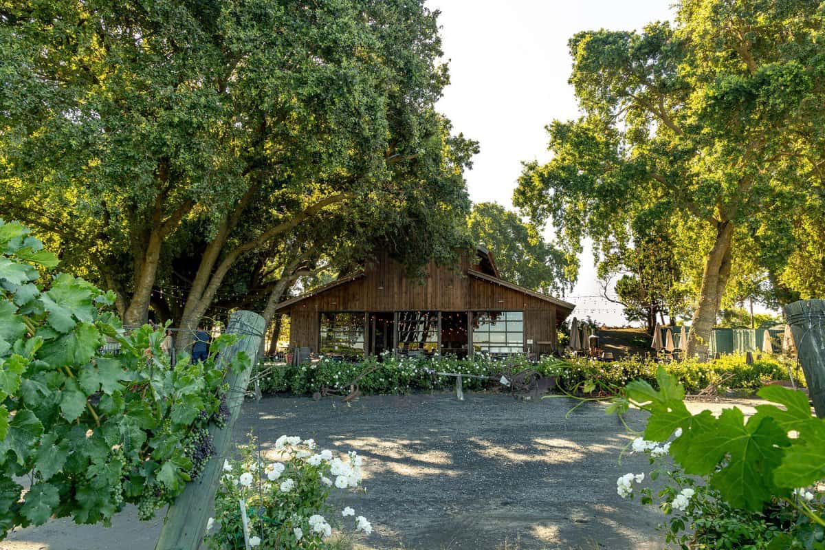 Clarksburg’s Hidden Treasures: Explore the Heart of Wine Country