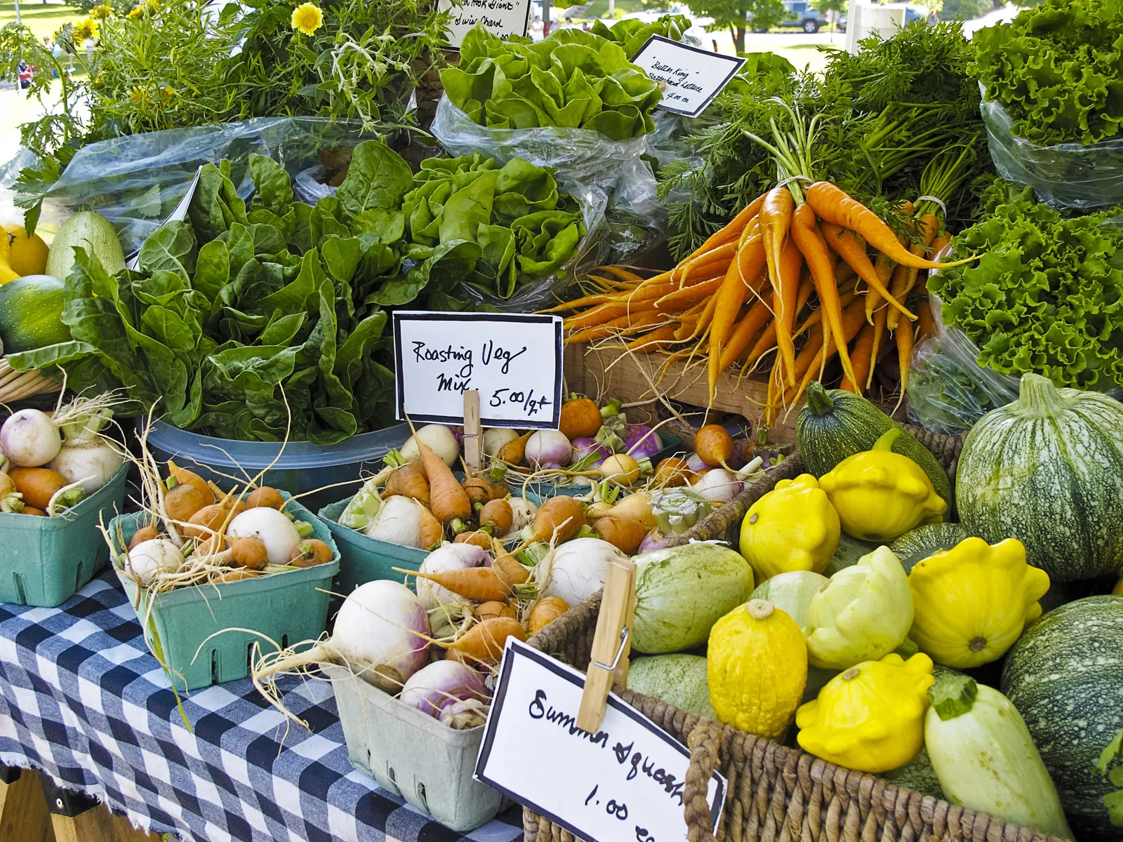 Organic Living Made Simple with Nowhere Organics
