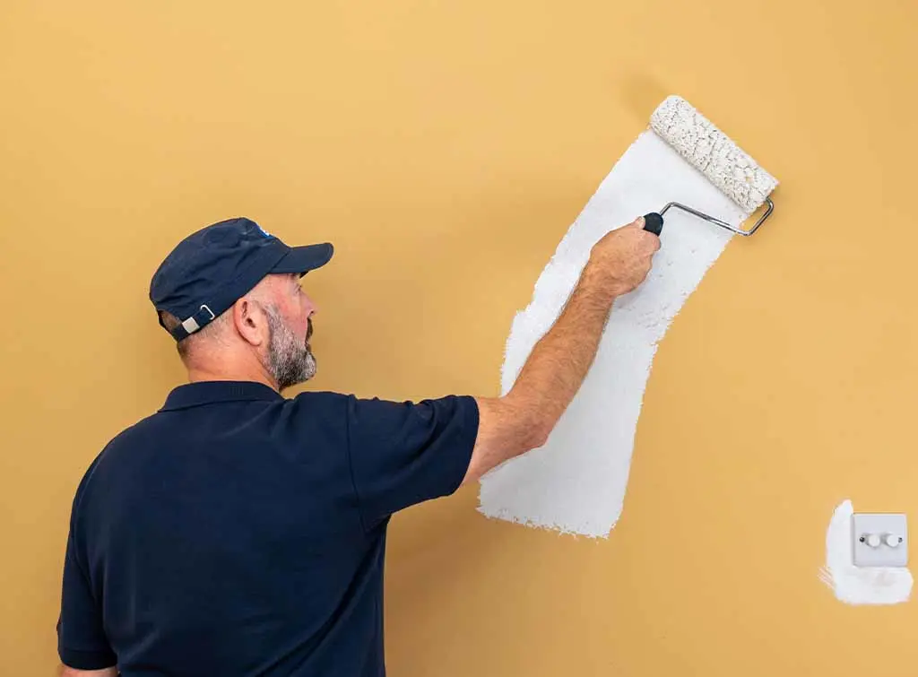 Professional Commercial Exterior Painter Minneapolis – Licensed &amp; Insured