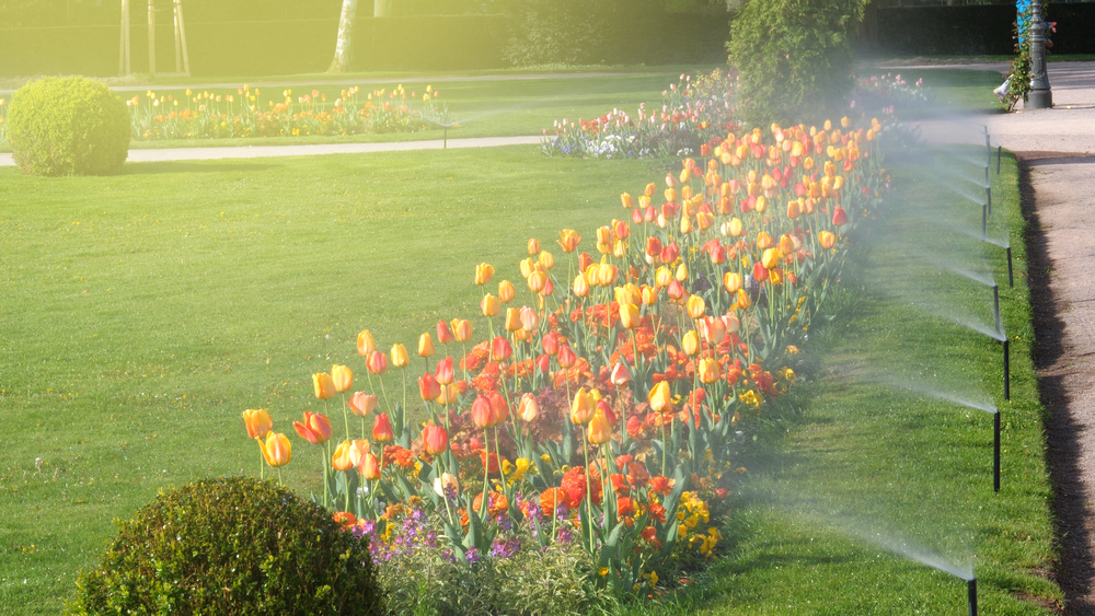 The Sprinkler Company Inc | Complete Landscape Irrigation Solutions