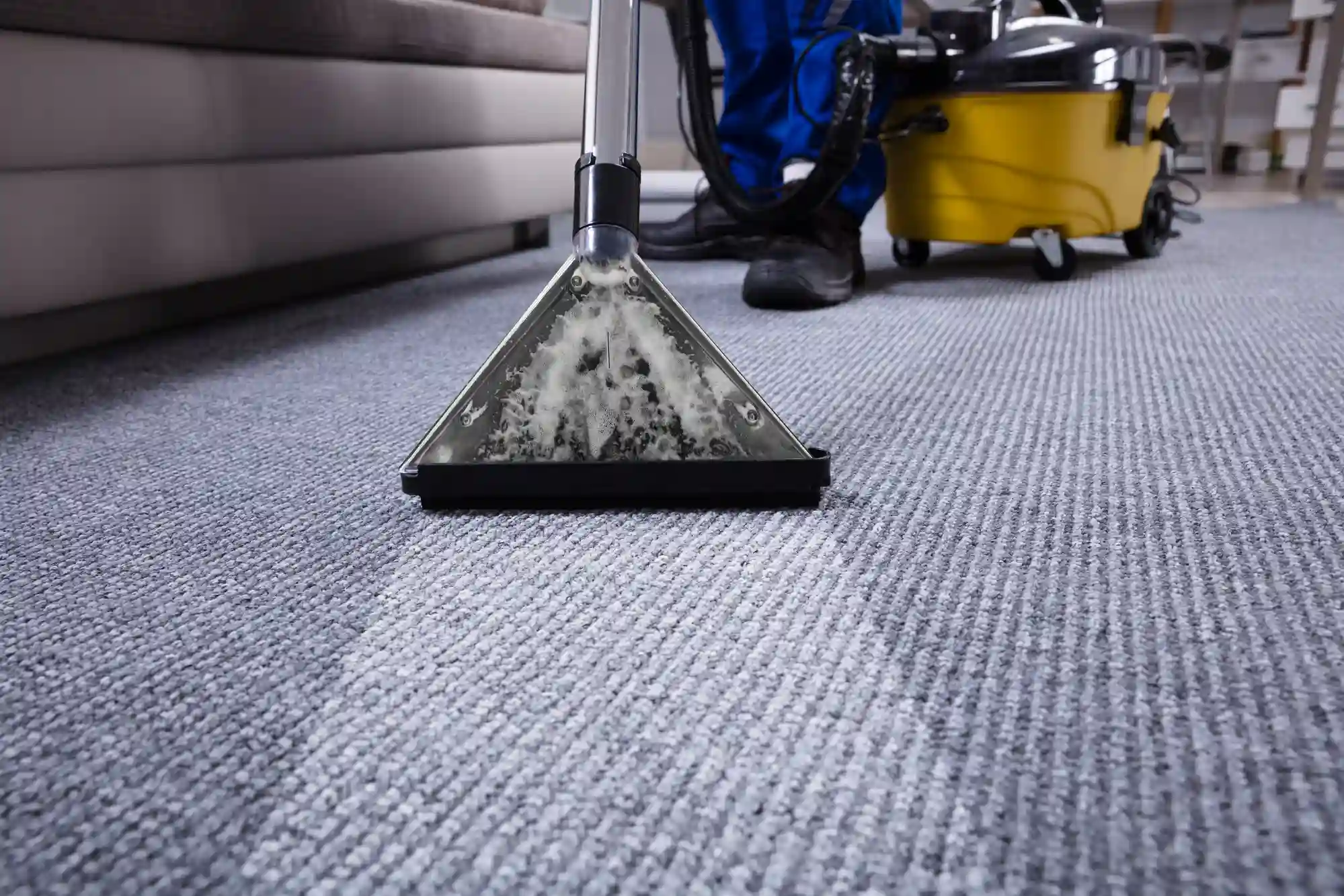Expert Pet Odor Carpet Cleaning – Fresh Carpets, Happy Pets
