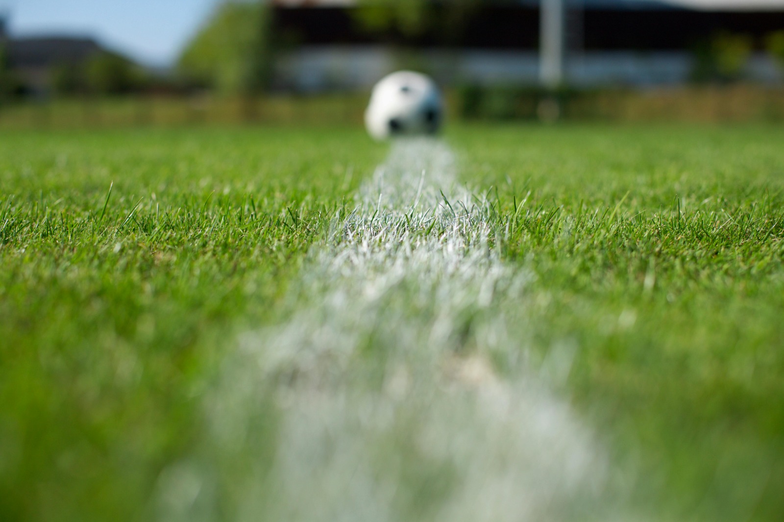 Professional Irrigation Services in Haslet, TX – Smart Watering Solutions