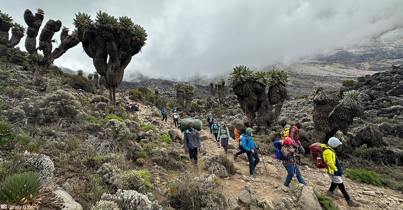 Climb Kilimanjaro with Ethical, Responsible Local Operators