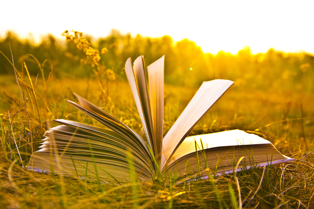 The Power of Storytelling in C.S. Duncan Books and the world’s greatest books