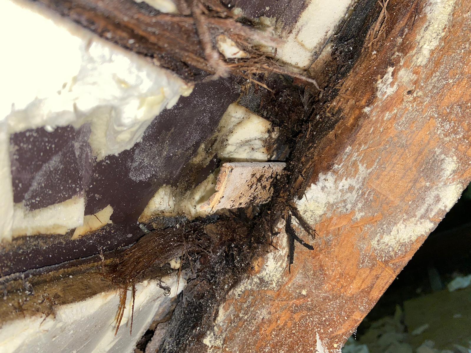 Spray Foam Insulation Advice for UK Homes in 2026