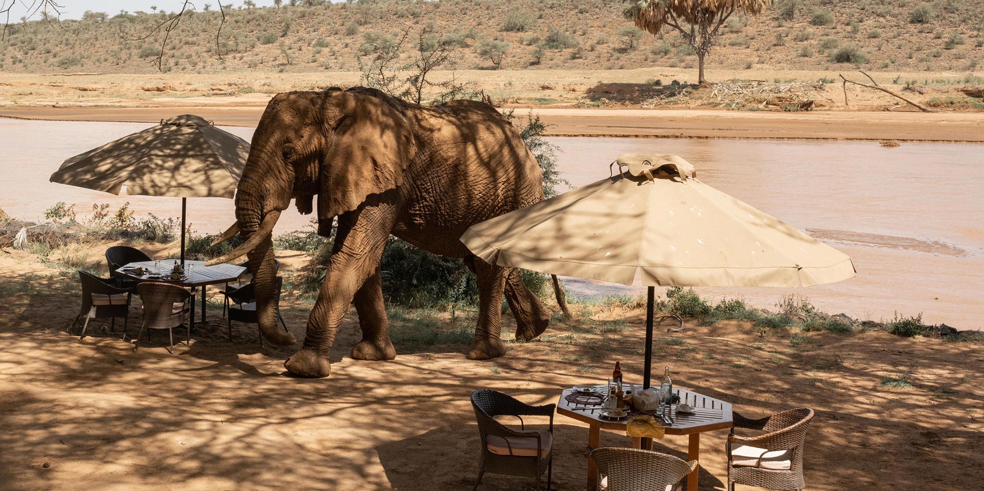 Discover Hidden Gems on a Tanzania Safari Journey