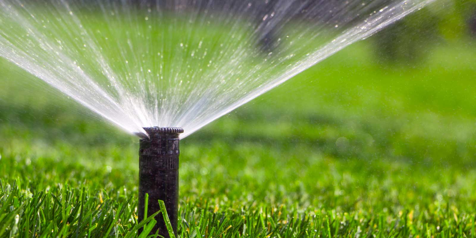 Professional Irrigation Services in Lake worth , TX for Efficient Irrigation Systems