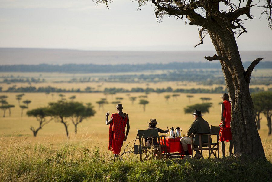 Ultimate Guide to Tanzania Safari Packages: Plan Your Perfect Safari