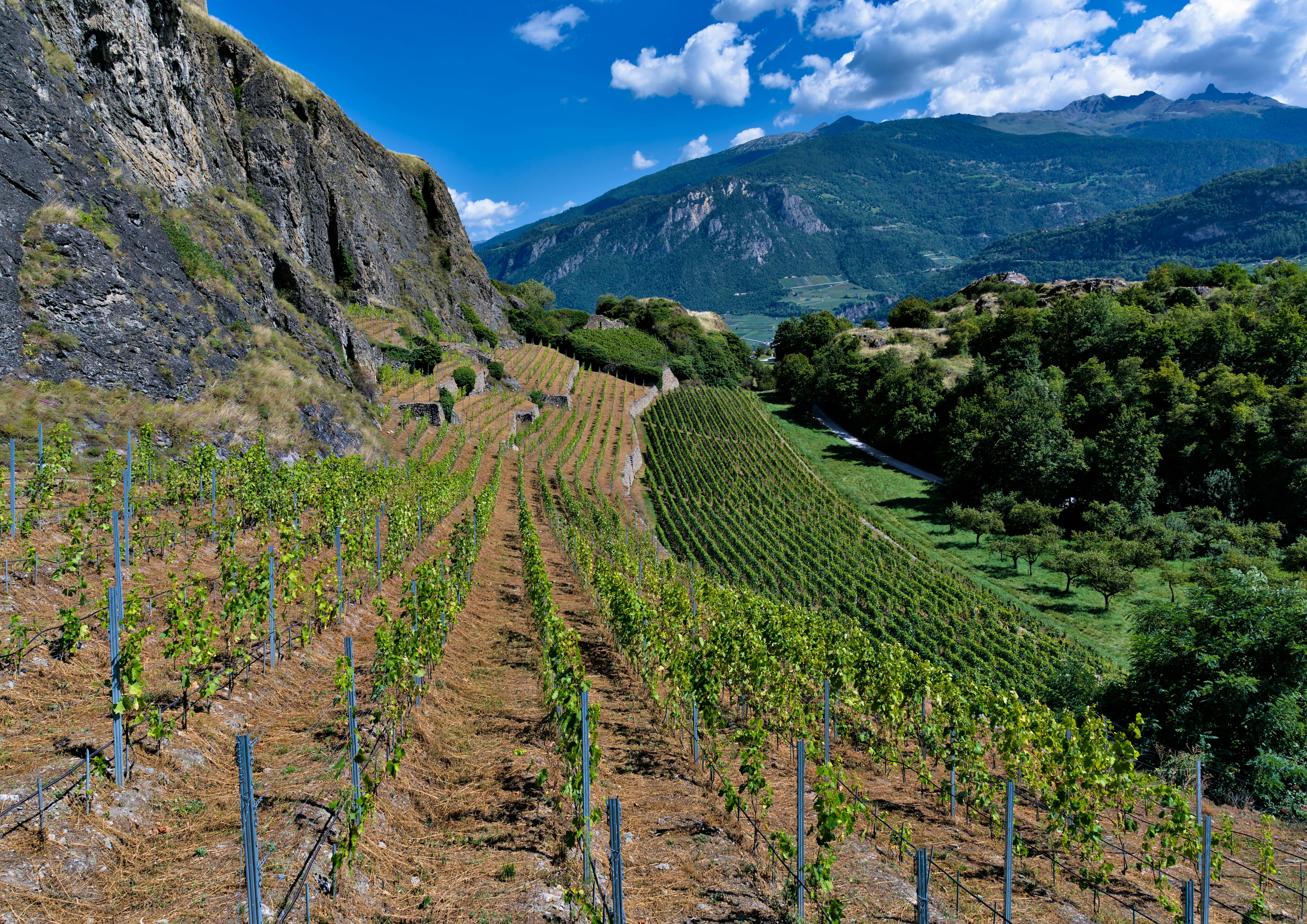 Experience the Charm and Beauty of Clarksburg CA