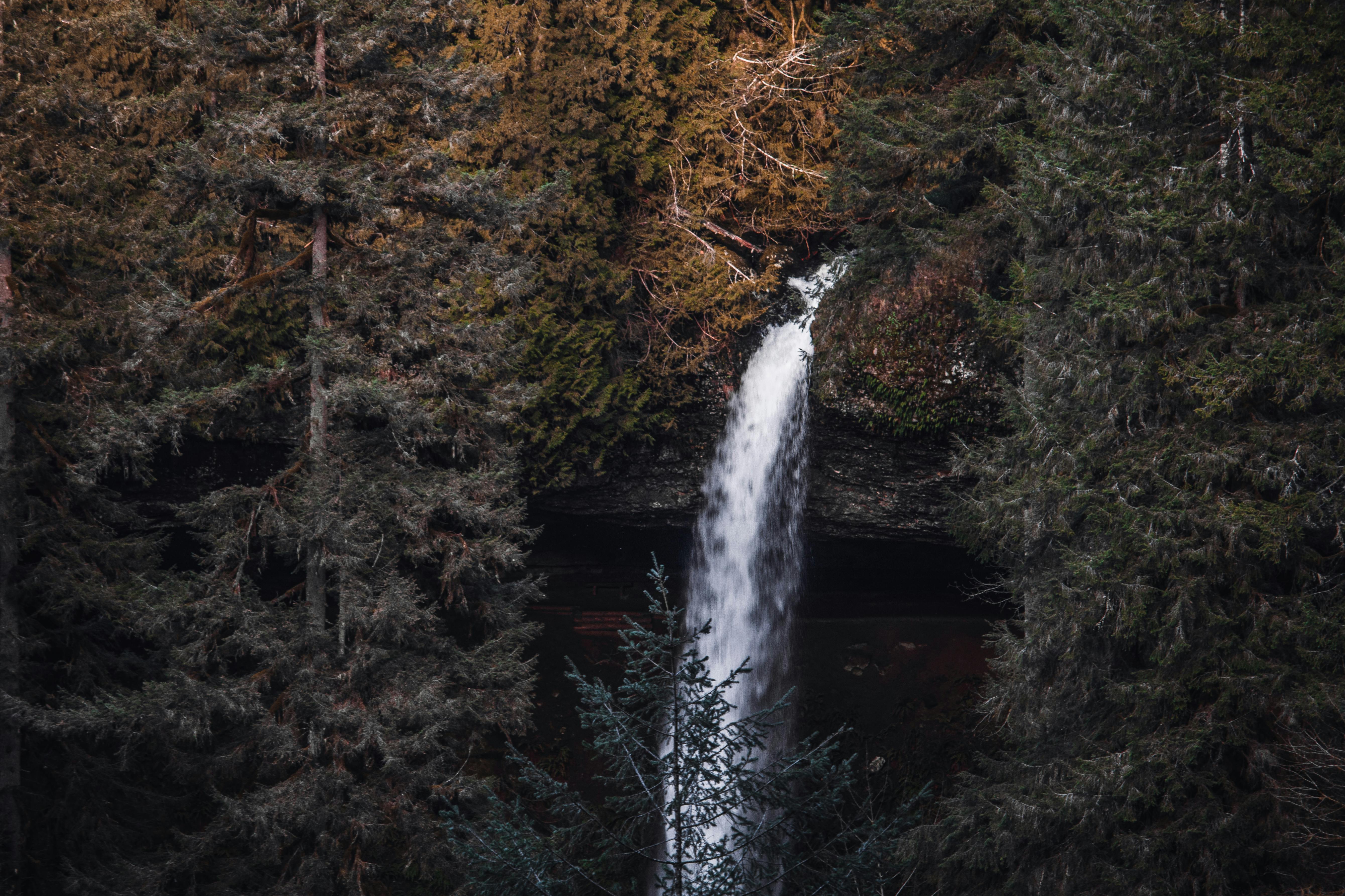 Stay Close to Nature: Lodge Multnomah Falls Oregon Options