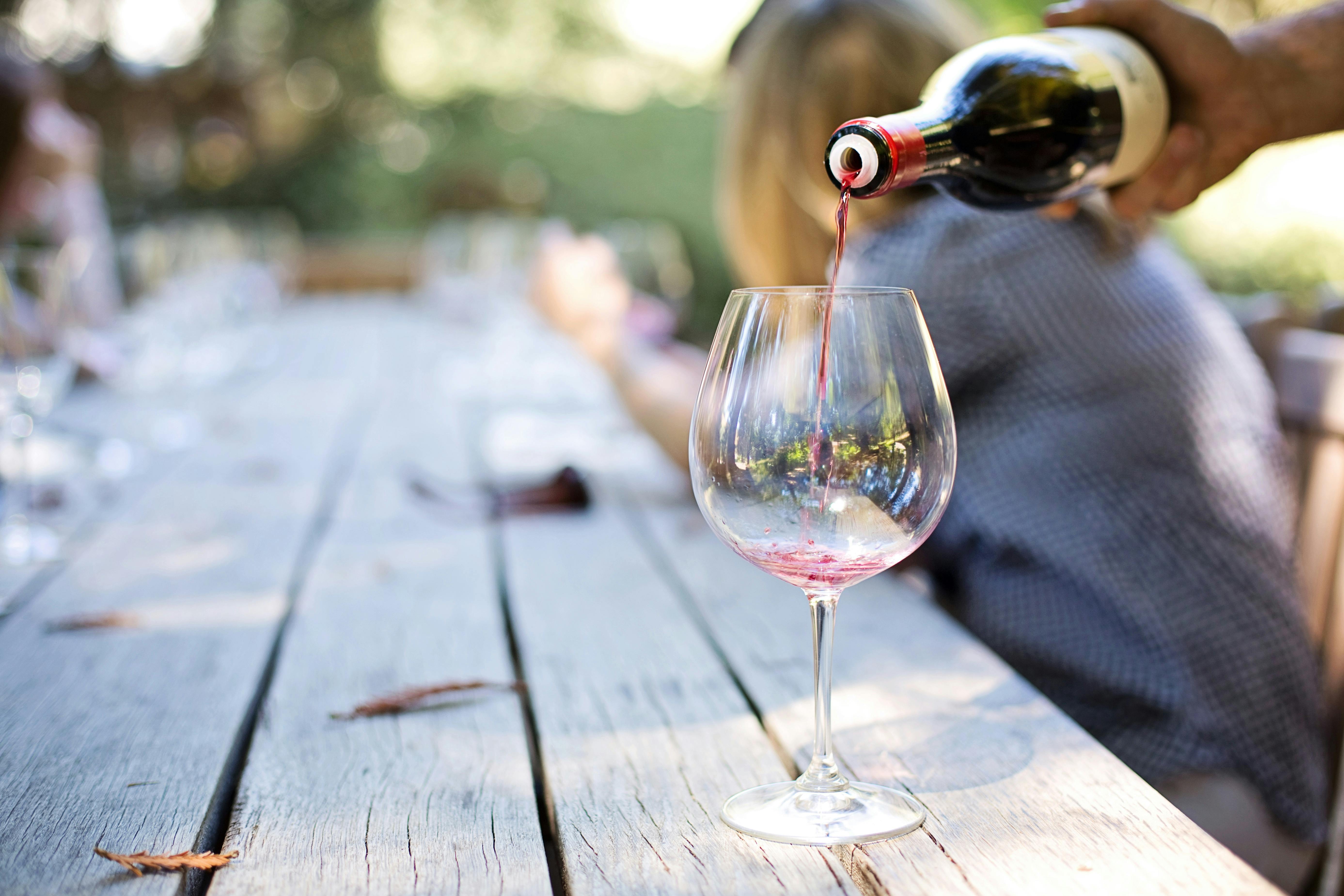 Langley wine tours: Combining Scenic Views and Fine Wines