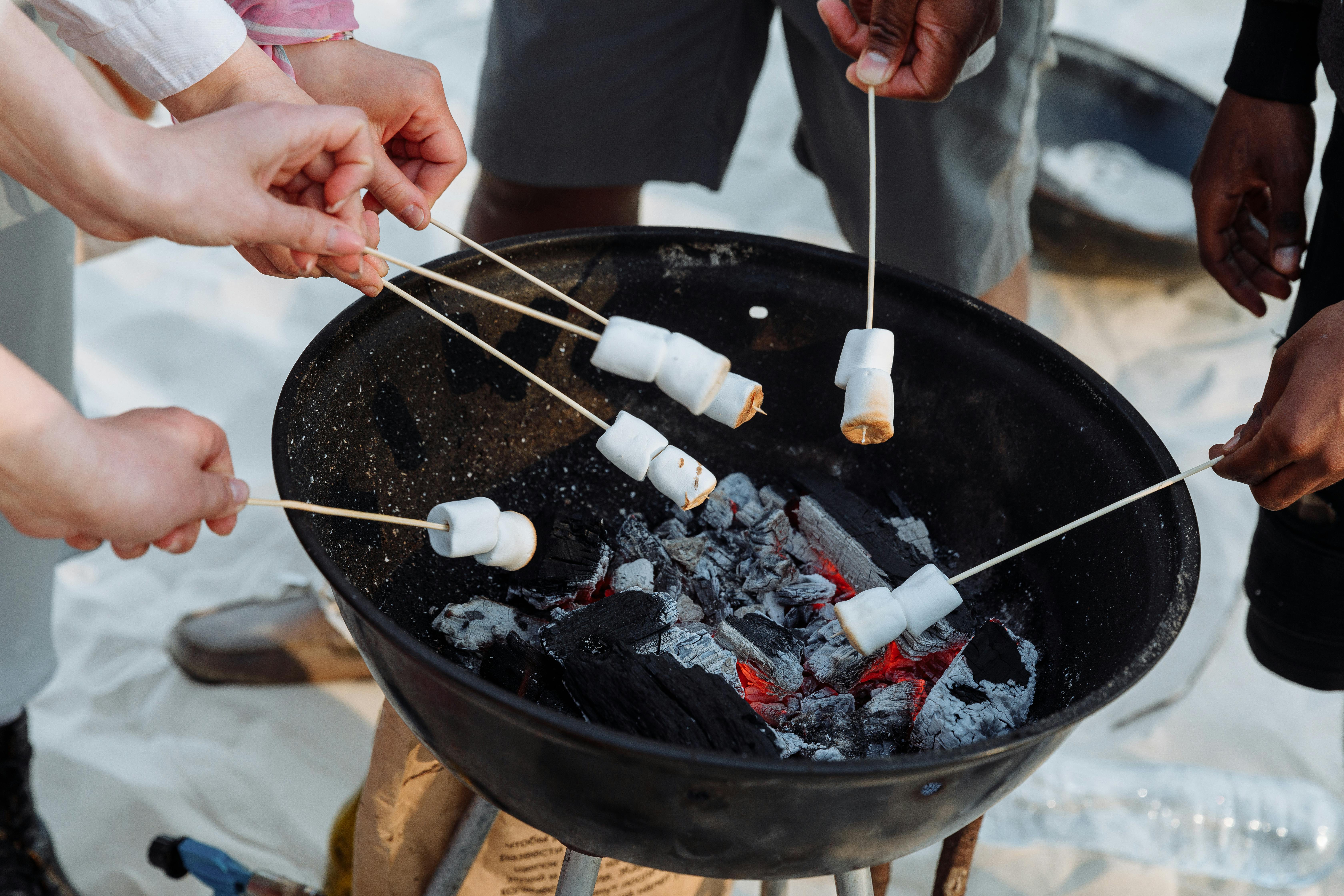 Charcoal Made from Sustainable Lithuanian Wood