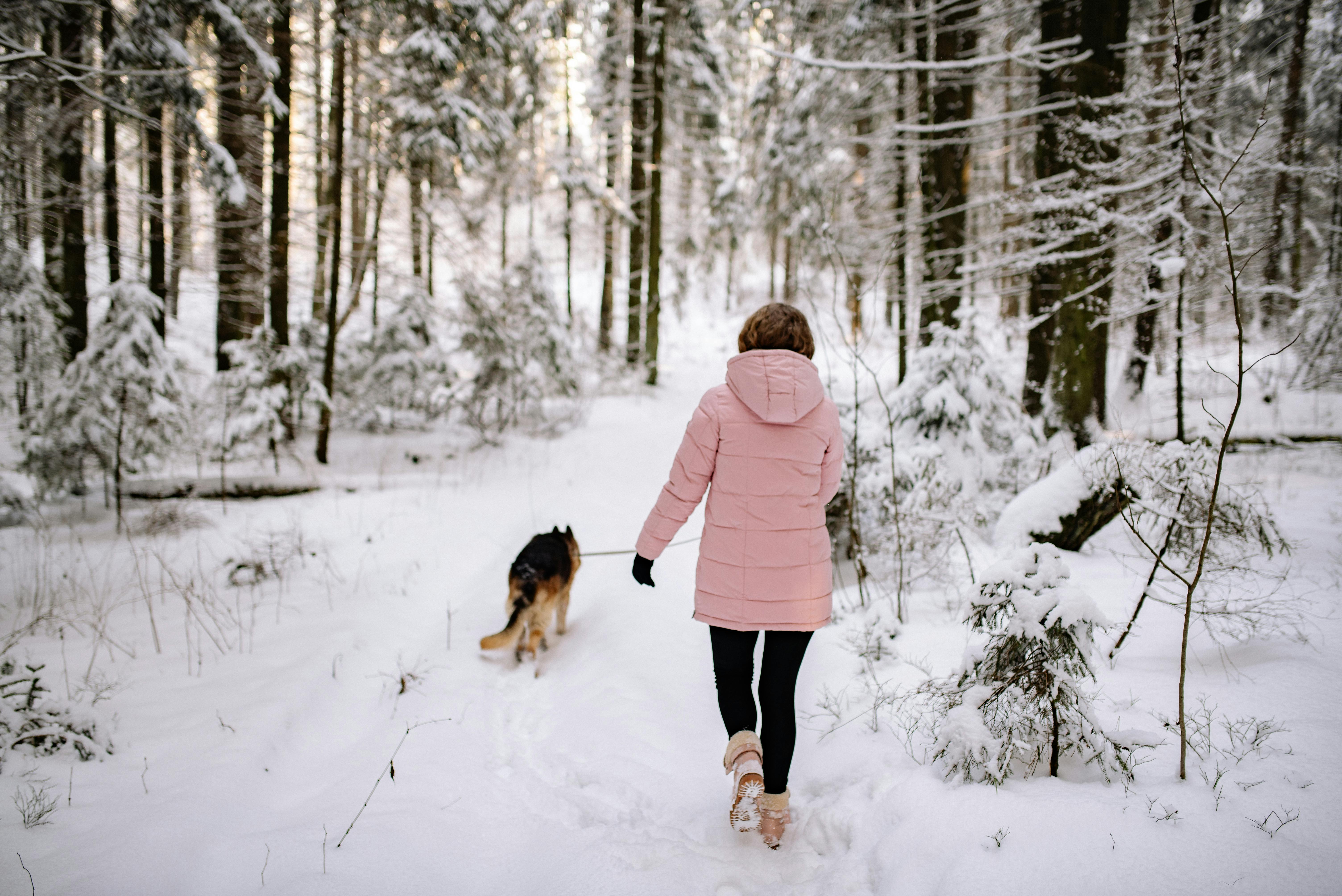 Cool Trails Designed for Adventure, Nature, and Exploration