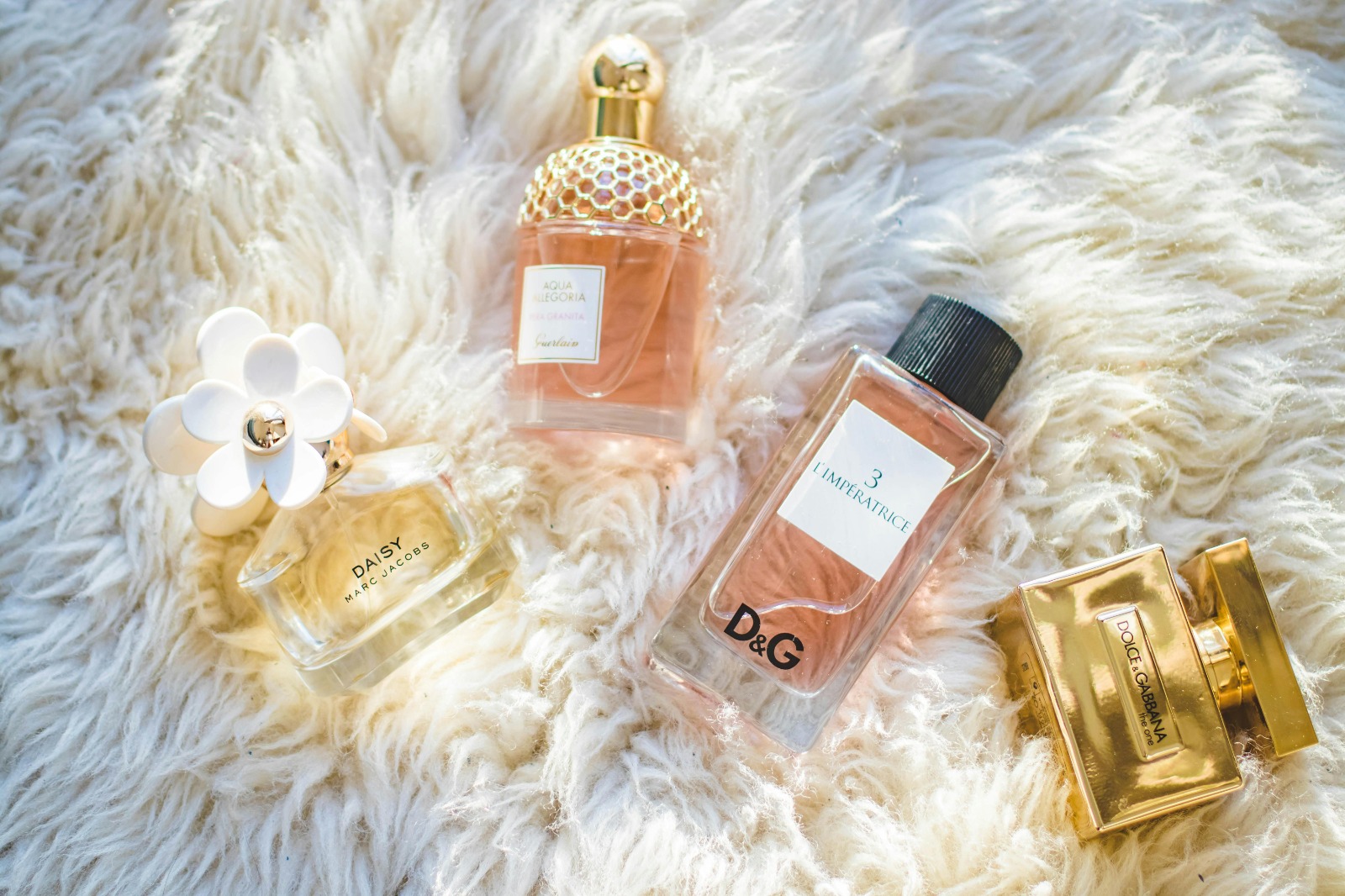 Top Niche Perfume Samples Every Fragrance Lover Should Try