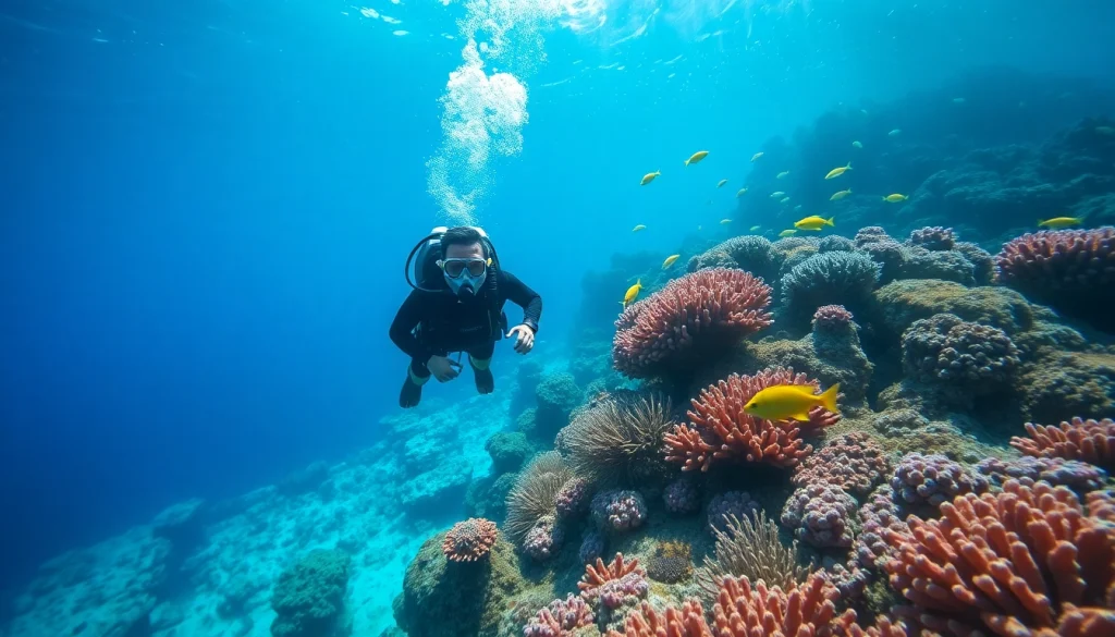 Experience vibrant marine life underwater at https://marvinscubaexpeditions.com.
