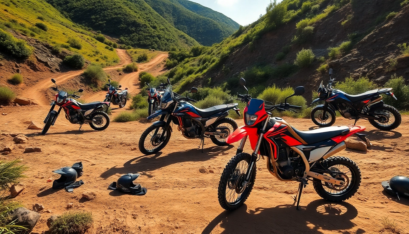 The Adventure of Off-Road Motorcycling: Insights from https://relevance.com.ua