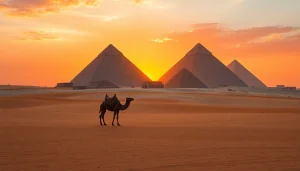 View of piraminds in the warm sunrise, with a camel in the foreground.