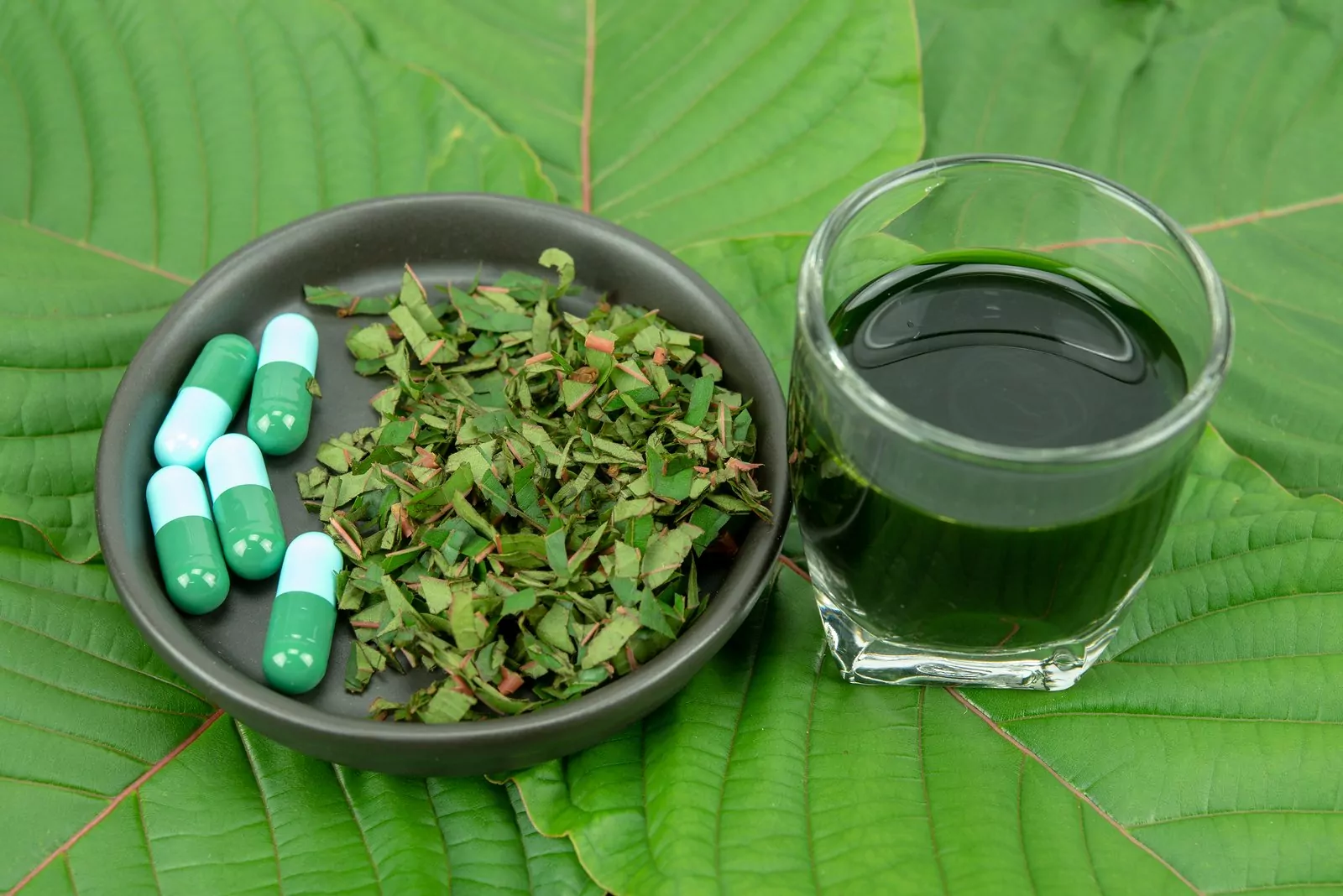 Buy Kratom Tea Chiang Mai from Organic Local Sources
